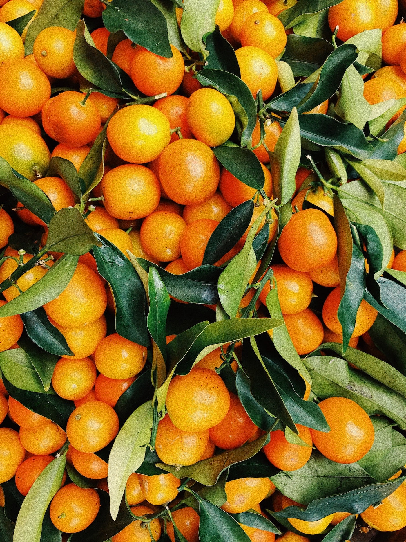 Orangen Sizilien Inspiration Düfte und Landschaft