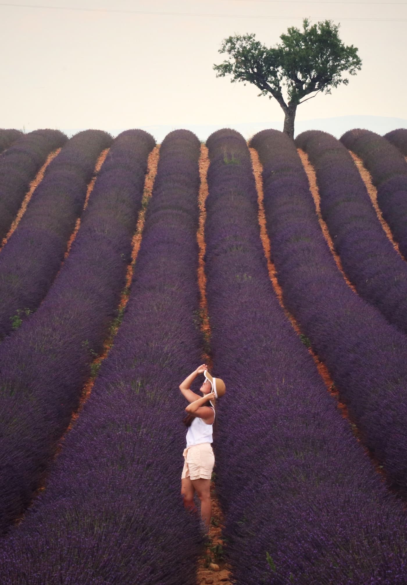 Provence Lavendelfeld Duft passende Duftkerze für zuhause