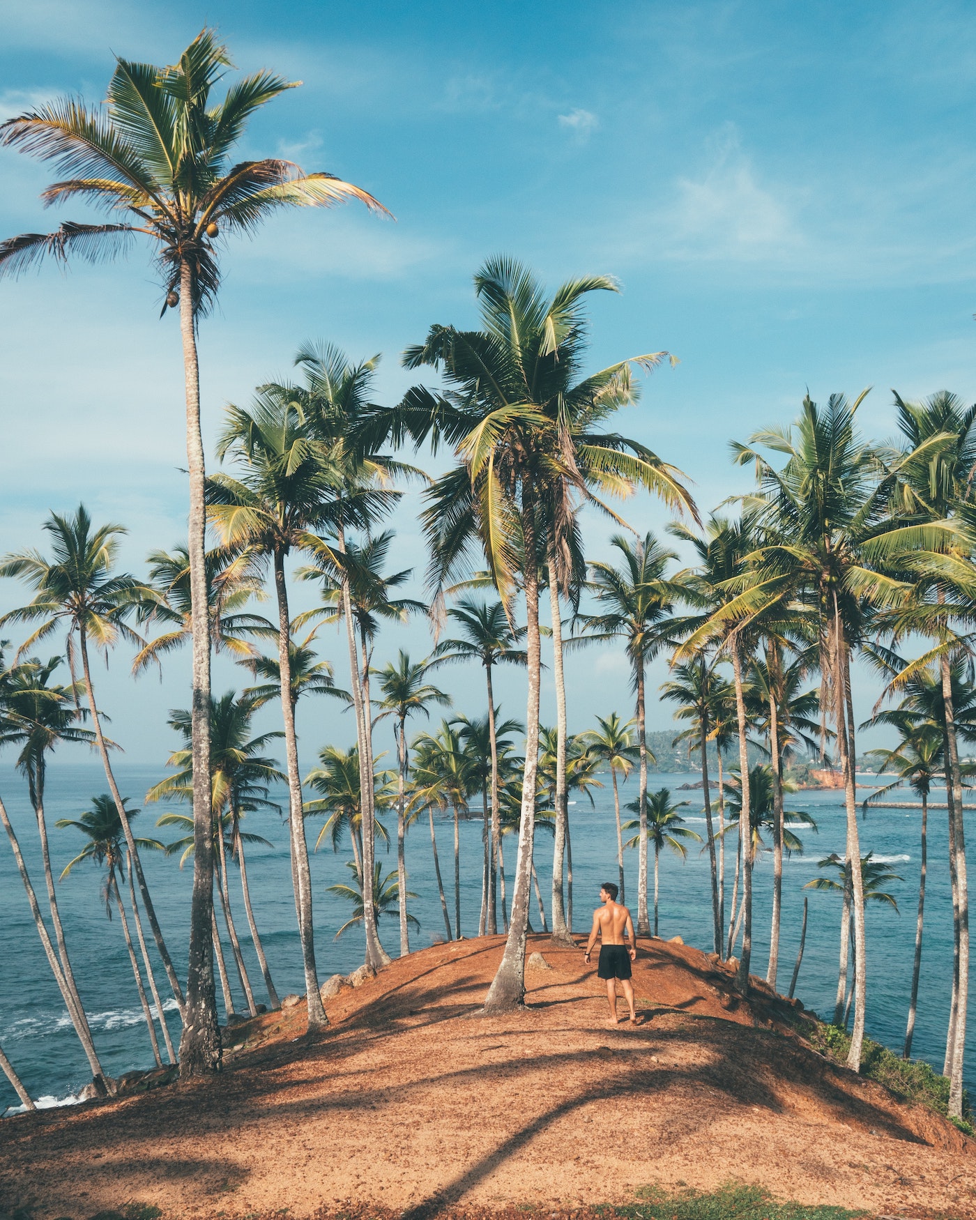 Sri Lanka Palmen und Surfer