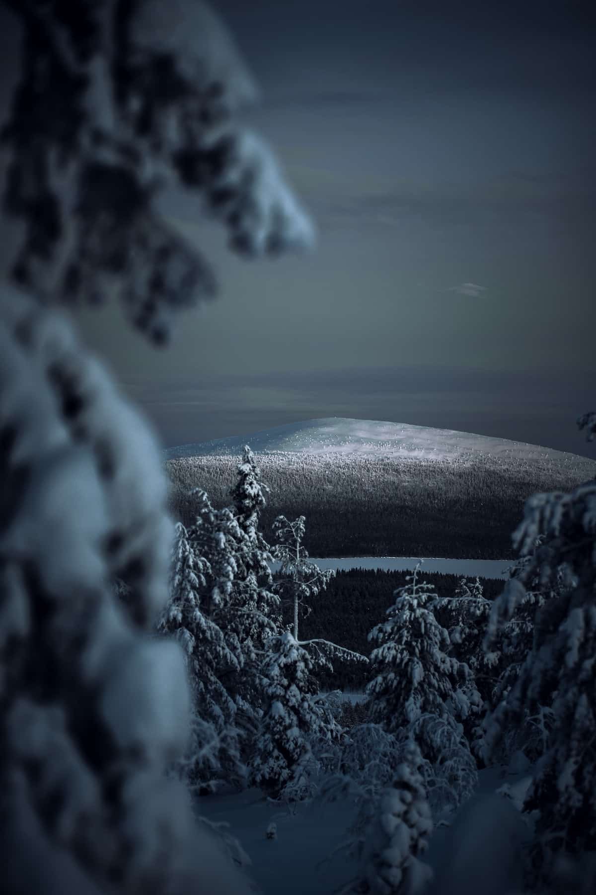 FINNALND Skandinavien bei Nacht im Wald bei Schnee