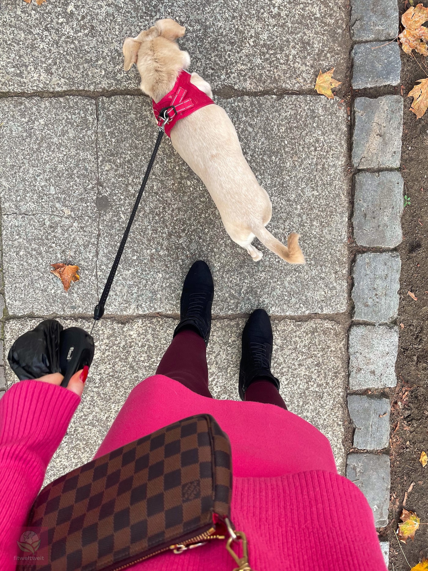 Herbstoutfit Luna Leggings Dalia Miniskirt Rock Les Lunes Erfahrungen Spaziergang